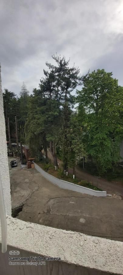 Студия Радуга У Моря Колхида Batumi Luaran gambar